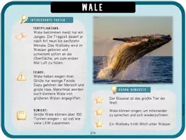 Vorschau - Unterrichtsreihen - Wale - Arbeitsblätter, Lapbook, Wissenskartei & Spiel - Seite 2