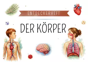 Vorschau - Spiele - Entdeckerpaket Der Körper & Organe | Sachkunde und Projekttage | Legespiel Kartenset - Seite 1