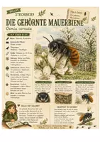 Vorschau - Arbeitsblätter - Mauerbiene – kostenloses Materialpaket für Sachunterricht & Naturbildung | Bella Wildherz - Deckblatt