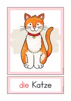 Vorschau - Arbeitsblätter - DaZ Haustiere - Wortschatz, Sprechen & Mini-Lesetexte - Seite 2