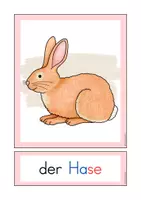 Vorschau - Arbeitsblätter - DaZ Haustiere - Wortschatz, Sprechen & Mini-Lesetexte - Seite 3