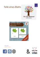 Vorschau - Stationenlernen - Teile eines Blatts Montessori Bildkarten - Deckblatt