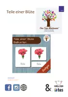 Vorschau - Stationenlernen - Teile einer Blüte Montessori Bildkarte - Deckblatt
