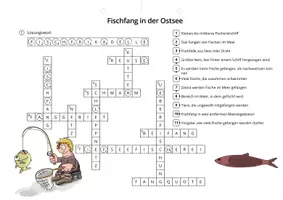 Vorschau - Spiele - Fischfang in der Ostsee - Seite 1