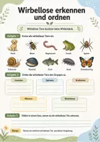 Vorschau - Arbeitsblätter - Wirbellose Tiere entdecken – Insekten, Spinnen, Krebstiere, Würmer und Weichtiere - Seite 3