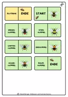 Vorschau - Spiele - Wildbienen und Hummeln, Domino-Lege-Spiel - Seite 2
