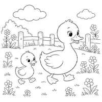Vorschau - Mal- und Bastelvorlagen - Enten Ausmalbilder (50 lustige Malvorlagen) inkl. Stundenentwurf (PDF) - Seite 3