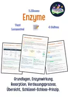 Vorschau - Arbeitsblätter - Enzyme - Verdauung, Grundlagen, Enzymwirkung, Resorption, Verdauungsprozess, Übersicht, Schlüssel-Schloss-Prinzip uvm. - Deckblatt
