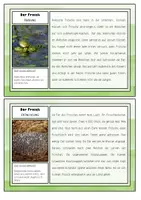 Vorschau - Unterrichtsreihen - Der Frosch - Kartei und Flipbook - Seite 3