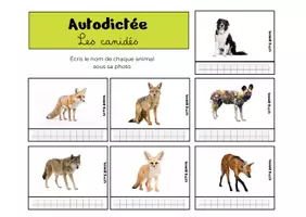 Aperçu - Apprentissages en autonomie - Autodictée - les animaux sauvages - Page de couverture