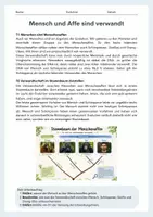 Vorschau - Arbeitsblätter - Mensch und Affe sind verwandt – Evolution, Menschenaffen und aufrechter Gang - Seite 1