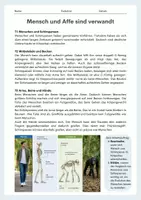 Vorschau - Arbeitsblätter - Mensch und Affe sind verwandt – Evolution, Menschenaffen und aufrechter Gang - Seite 2