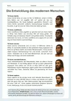 Vorschau - Arbeitsblätter - Die Entwicklung des modernen Menschen – Gattung Homo, Ausbreitung und Menschenarten - Seite 2