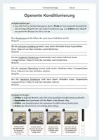 Vorschau - Arbeitsblätter - Operante Konditionierung – Skinner-Box und SORC-Modell - Seite 2