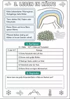 Vorschau - Experimente - Extreme Lebensräume Klasse 5-6: Themenheft - Seite 3