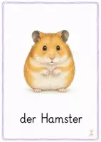 Vorschau - Bildkarten - Haustiere Bildkarten – Haltung & Pflege - Seite 2