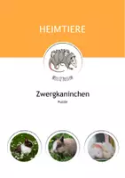 Vorschau - Spiele - Das Zwergkaninchen: Puzzle- kostenlos - Deckblatt
