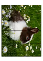 Vorschau - Spiele - Das Zwergkaninchen: Puzzle- kostenlos - Seite 1