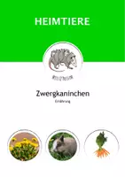 Vorschau - Arbeitsblätter - Das Zwergkaninchen: Ernährung (Info-Text, ABB, Sortiermatten) - Deckblatt