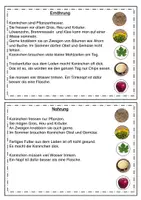 Vorschau - Arbeitsblätter - Das Zwergkaninchen: Ernährung (Info-Text, ABB, Sortiermatten) - Seite 1