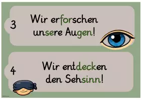 Vorschau - Unterrichtsreihen - Reihentransparenz Sinne - Seite 2