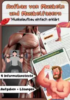 Vorschau - Stationenlernen - Das Muskelsystem: Muskelaufbau, Muskelarten, Muskelgruppen, - Seite 1