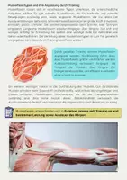 Vorschau - Arbeitsblätter - Aufbau von Muskeln und Muskelfasern Biologie - Seite 3