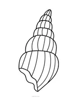 Vorschau - Mal- und Bastelvorlagen - Ausmalbilder Sommer bunte Muscheln Fensterdeko - Seite 3