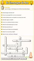 Vorschau - Arbeitsblätter - 🌸 Die Nase – Aufbau und Funktion eines wichtigen Sinnesorgans - Seite 2