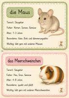 Vorschau - Arbeitsblätter - Haustiere Wissenskarten – Primarstufe - Seite 1