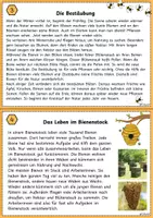 Vorschau - Unterrichtsreihen - Die Biene - Unterrichtsreihe / Lerntheke - Seite 2