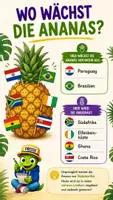 Vorschau - Bildkarten - QUAPPIZ Kindernews: Woher stammt die Ananas? - Seite 1