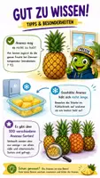 Vorschau - Bildkarten - QUAPPIZ Kindernews: Woher stammt die Ananas? - Seite 3