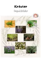 Vorschau - Präsentationen/Tafelbilder - Kräuter Tafelmaterial: Impulsbilder - Deckblatt