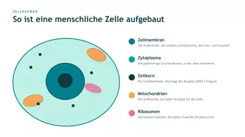 Vorschau - Arbeitsblätter - Die Zelle & Vererbungslehre – Komplettpaket - Deckblatt