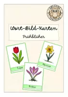 Vorschau - Poster - Freebie: Wort-Bild-Karten zu Frühblühern - Deckblatt
