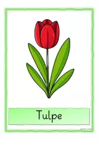 Vorschau - Poster - Freebie: Wort-Bild-Karten zu Frühblühern - Seite 1