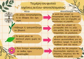 Προεπισκόπηση - Φυλλάδια - Τα μέρη και οι λειτουργίες των φυτών (ολοκληρωμένο πακέτο) - Σελίδα 3