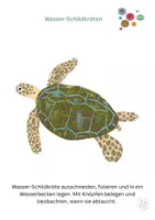 Vorschau - Spiele - Wasser-Schildkröten - Deckblatt