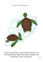 Vorschau - Spiele - Wasser-Schildkröten - Seite 2