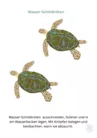Vorschau - Spiele - Wasser-Schildkröten - Seite 3