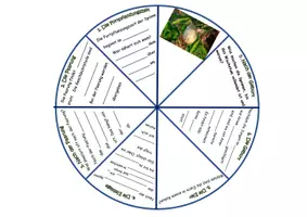 Vorschau - Arbeitsblätter - Fortpflanzung und Entwicklungsrad Spinne - Seite 2