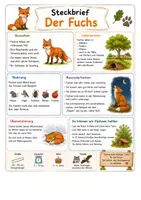 Vorschau - Arbeitsblätter - Steckbriefe - Igel, Eichhörnchen, Amsel, Fuchs für Klasse 1-2 - Seite 3