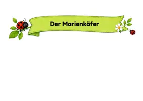 Vorschau - Unterrichtsreihen - Marienkäfer · Sachunterricht · Klasse 1-2 · Lernplakate - Seite 3