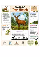 Vorschau - Arbeitsblätter - Steckbriefe Huhn, Hirsch, Pferd, Schaf - Klasse 1-2 - Seite 2