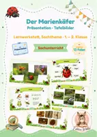 Vorschau - Unterrichtsreihen - Marienkäfer · Sachunterricht · Klasse 1-2 · Präsentation - Deckblatt