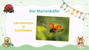 Vorschau - Unterrichtsreihen - Marienkäfer · Sachunterricht · Klasse 1-2 · Präsentation - Seite 1