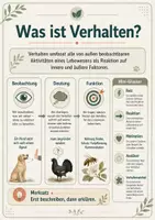 Vorschau - Arbeitsblätter - Verhaltensbiologie – angeborenes und erlerntes Verhalten verstehen - Seite 2