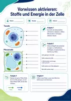 Vorschau - Arbeitsblätter - Transport- und Stoffwechselvorgänge in der Zelle – Unterrichtsreihe Zellbiologie - Seite 3