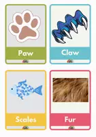 Vista previa - Tarjetas / Manipulativos - parte de animales ingles - Portada